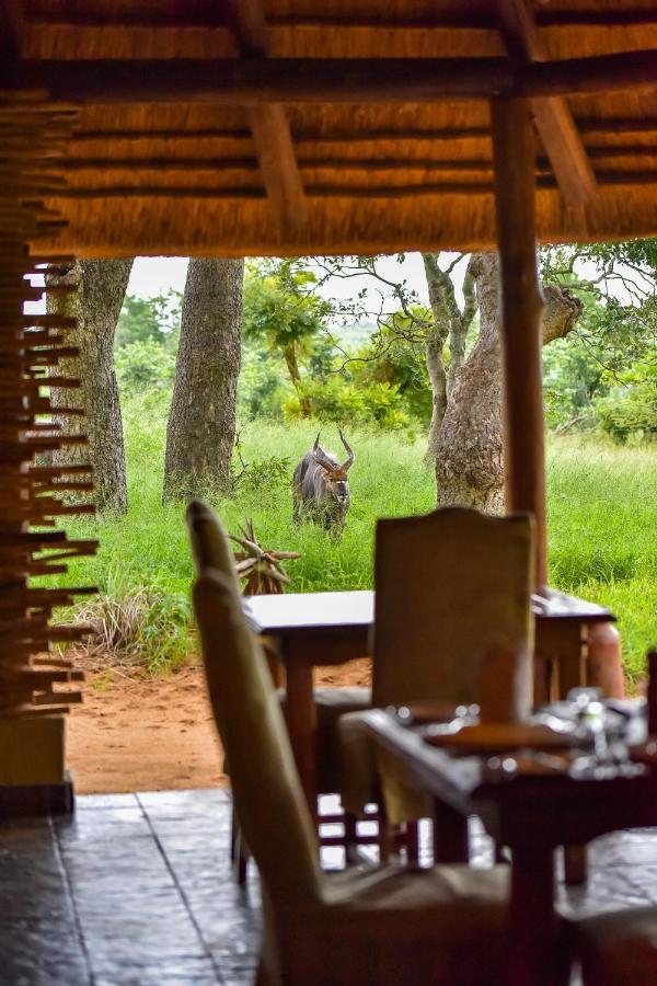 Thornybush Jackalberry Lodge Thornybush Game Reserve Exterior photo