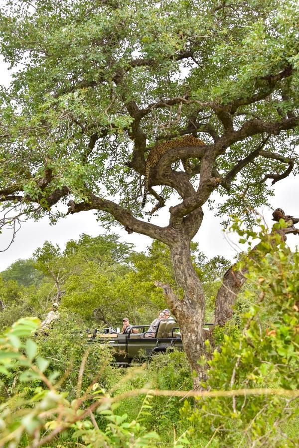 Thornybush Jackalberry Lodge Thornybush Game Reserve Exterior photo