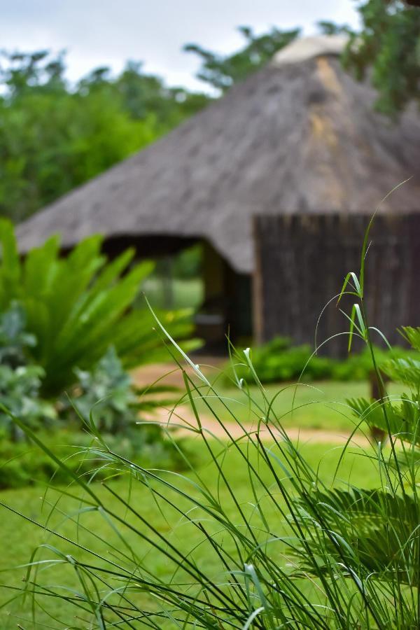 Thornybush Jackalberry Lodge Thornybush Game Reserve Exterior photo